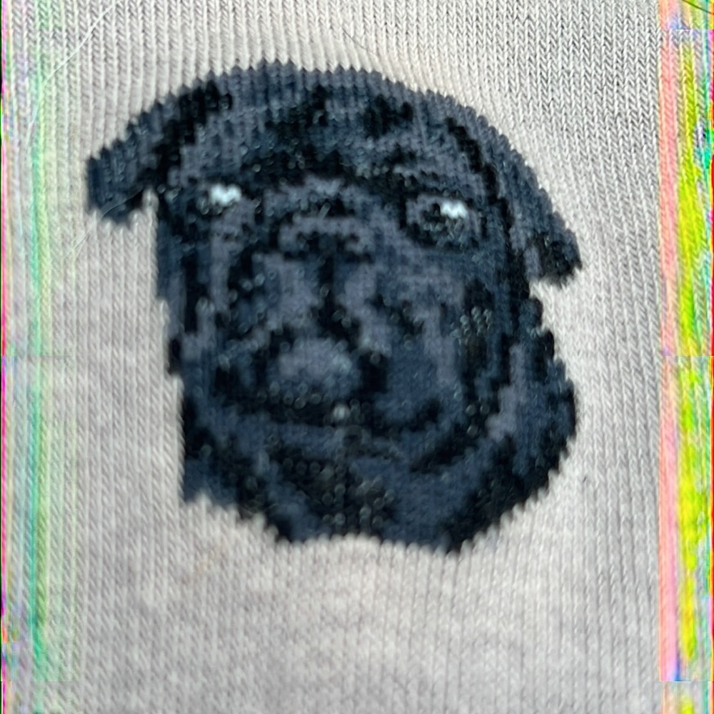 Brand new w/ tag SOCK DADDY Brand Black Pug Unisex Crew Socks. - Picture 5 of 7